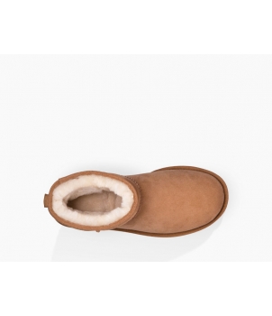 Classic II Mini Chestnut 1016222